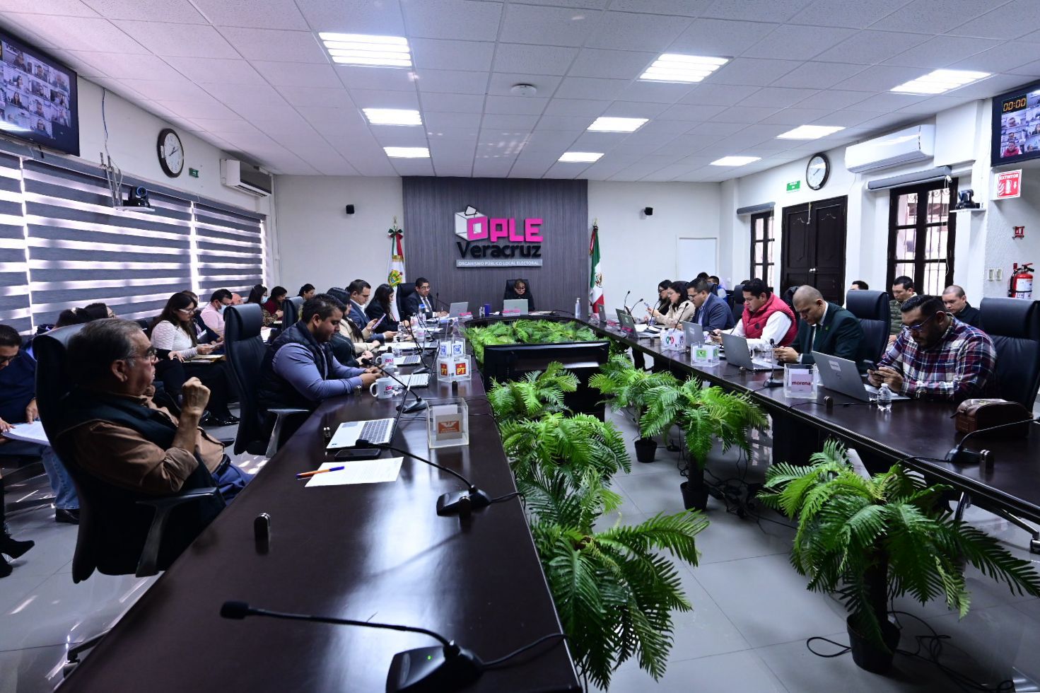 *OPLE Veracruz Aprueba Documentación y Estrategias para Elección en Tamiahua*